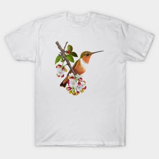 Hummingbird Watercolor T-Shirt